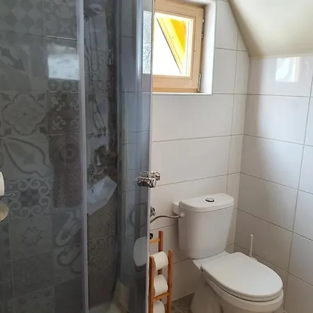 Planinska Brvnara בקתה *