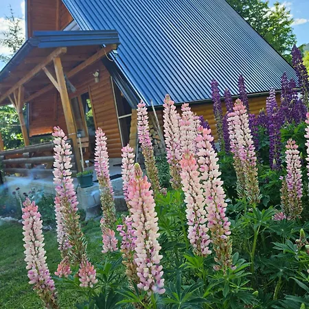 木屋 Planinska Brvnara *
